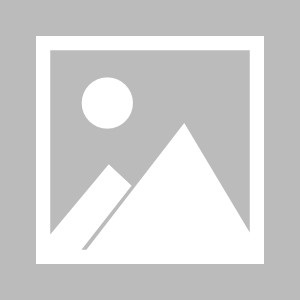 皇冠体育在线-巴洛-图雷的等待与救赎，皮奥利的凡尔赛文学