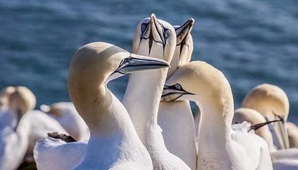 皇冠体育app下载-“四冠王”胡凯：越冷静，越“幸运”